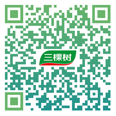三棵树招聘公众号二维码